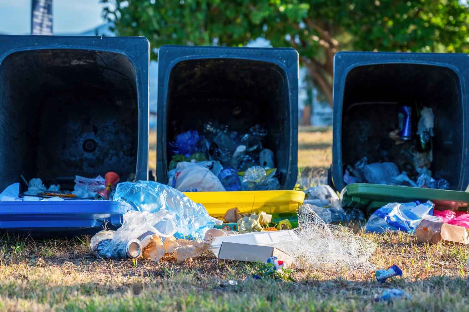 Best Commercial Junk Removal  in Pine Island, TX